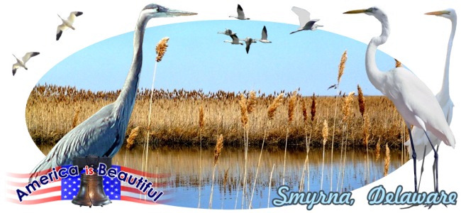 Bombay Hook, Smyrna, Delaware