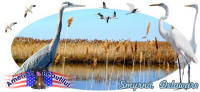 picture calendar preview image