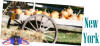 picture calendar preview New York