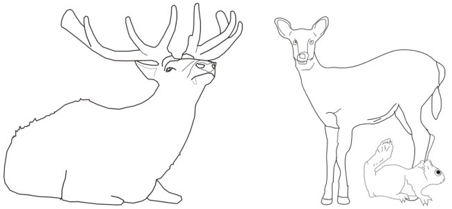 Elk and Deer outline