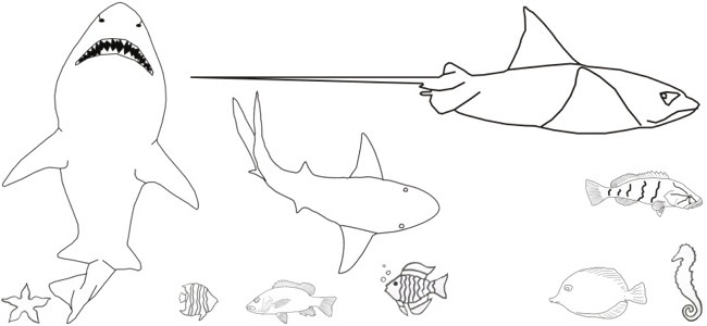 deep sea fish outline