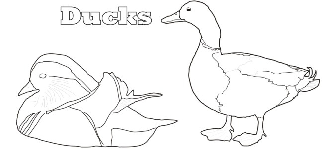 calendar image