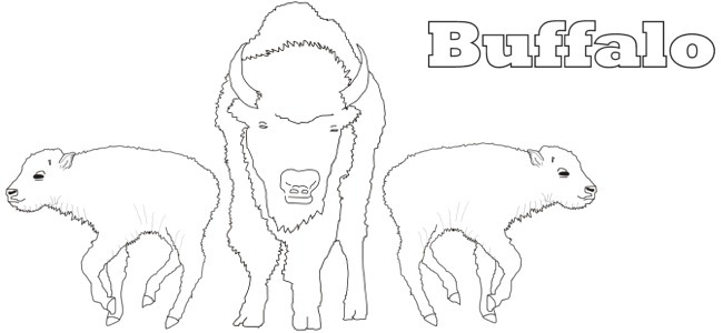 calendar image