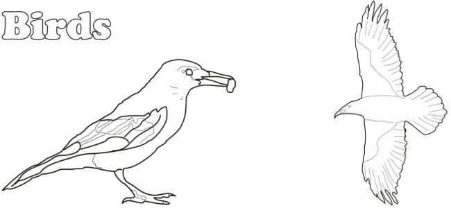 Calendar Image