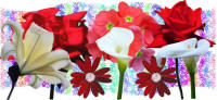 picture calendar preview image