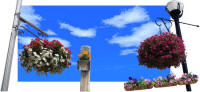picture calendar preview image