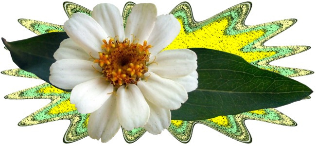 white flower