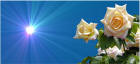 Preview Image Calendar