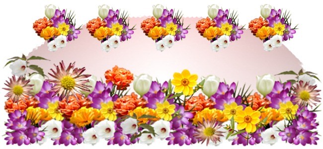 calendar image