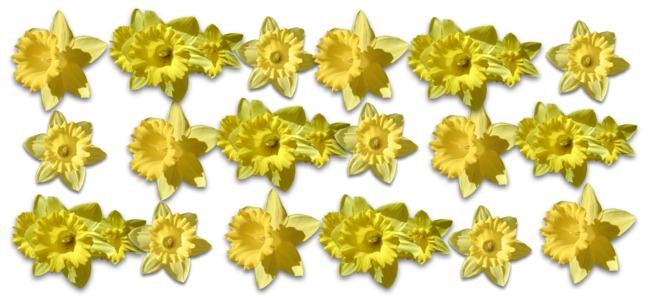 calendar image