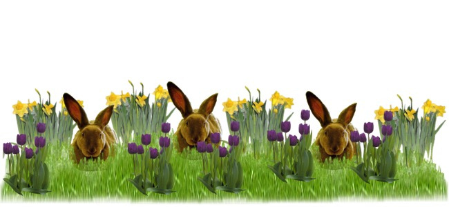 calendar image
