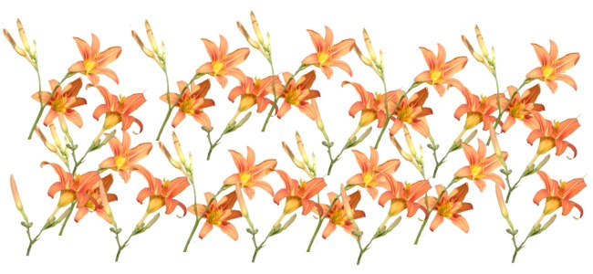 calendar image