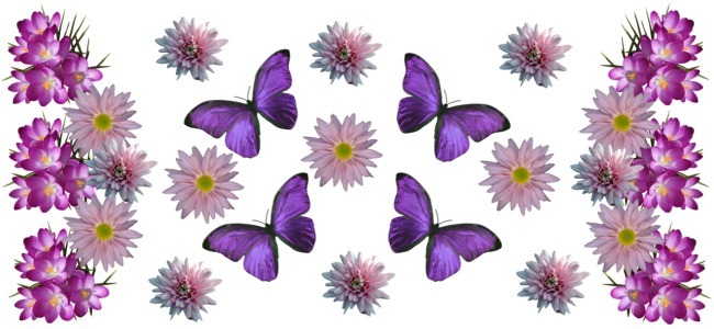 calendar image
