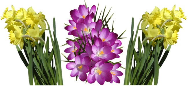 calendar image