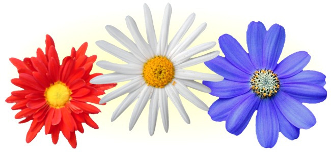 calendar image