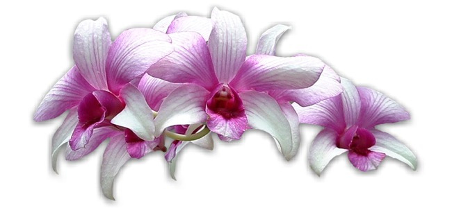 calendar image