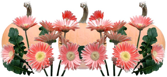 calendar image