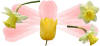 picture calendar preview flowers