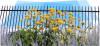 picture calendar preview flowers