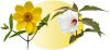 picture calendar preview flowers
