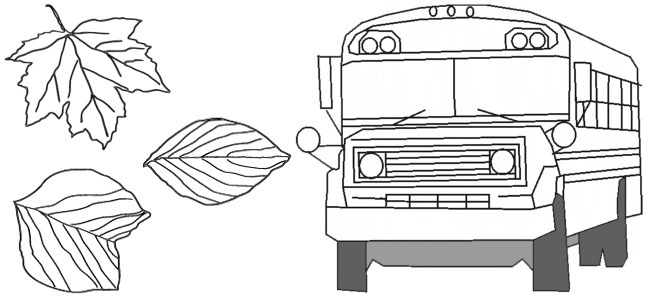Calendar Image