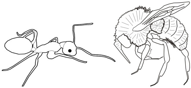 calendar image "bugs"