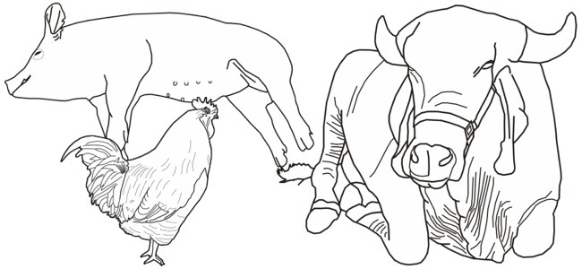 calendar image "farm animals"