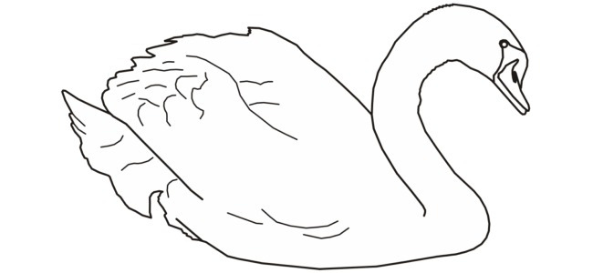 calendar image "swan"