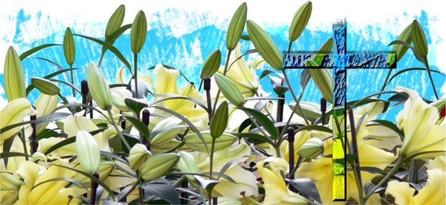 flower scene