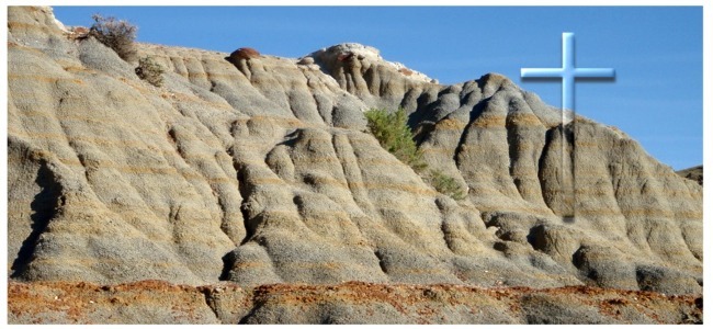 Natural Beauty Scene