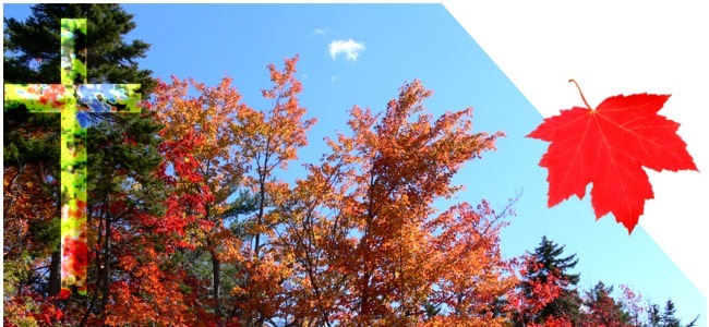 Calendar Image