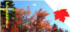 picture calendar preview spiritual