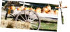 picture calendar preview spiritual