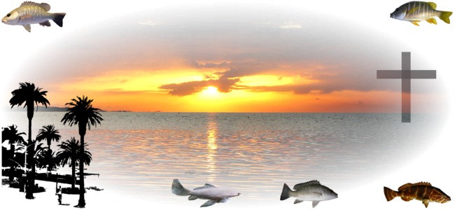 Calendar Image