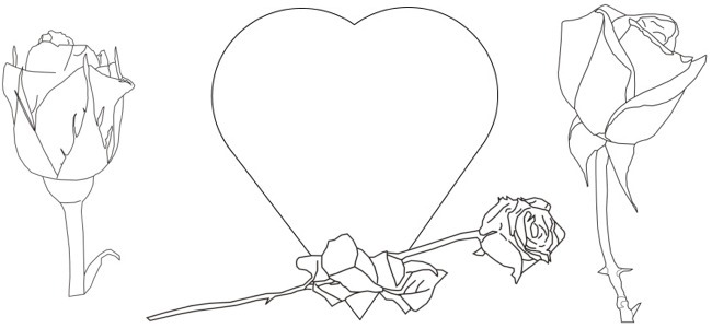 Heart and Roses outline