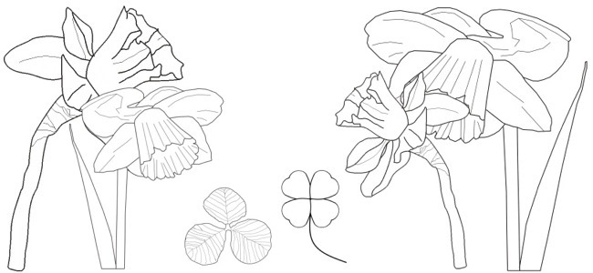 early spring flowers outline