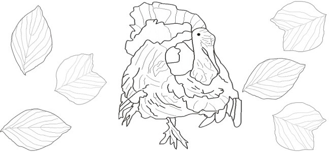 Turkey outline