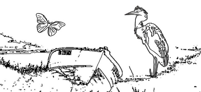 calendar image