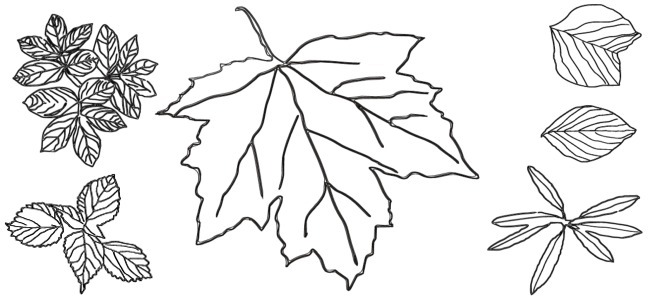 calendar image