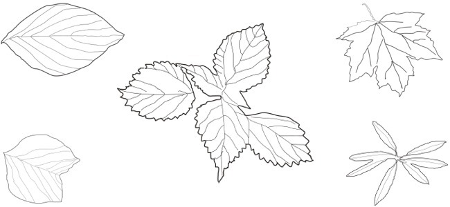 calendar image