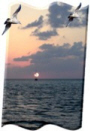 preview image all purpose card