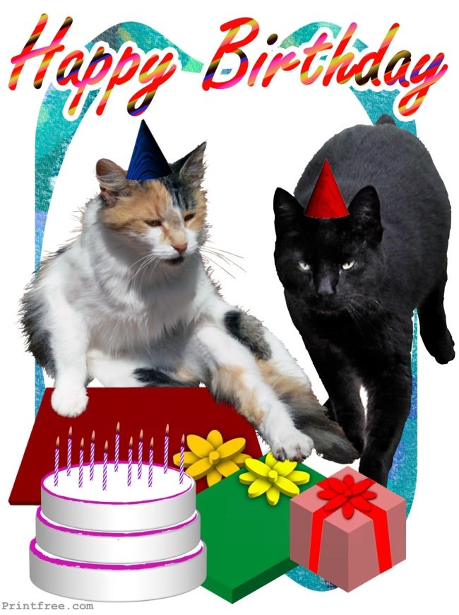 decoration image