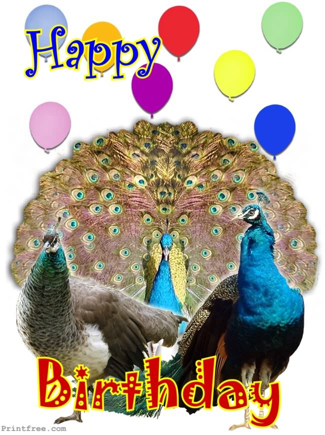 decoration image