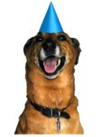 dogs gift wrap