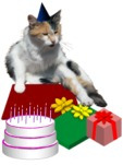 Cats gift wrap
