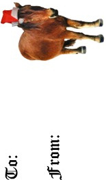 gift tag image