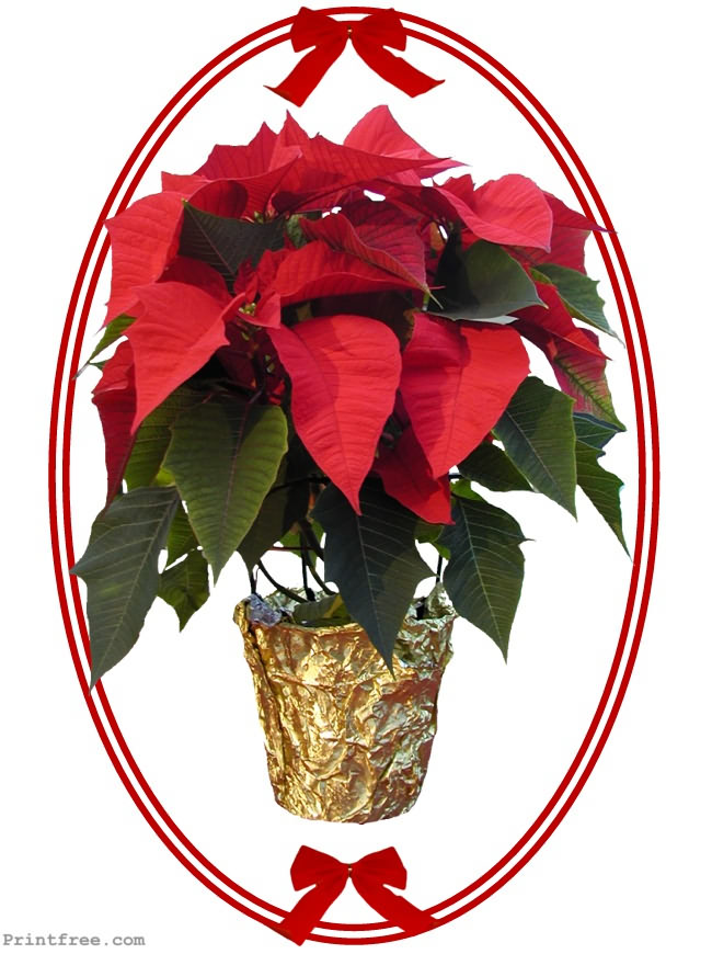 decorative print image