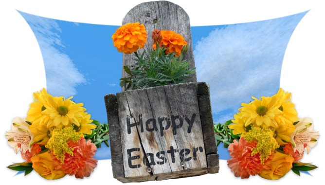 Easter Flowers