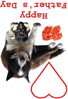 Dogs card image