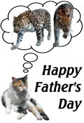 Happy Fathers Day cats